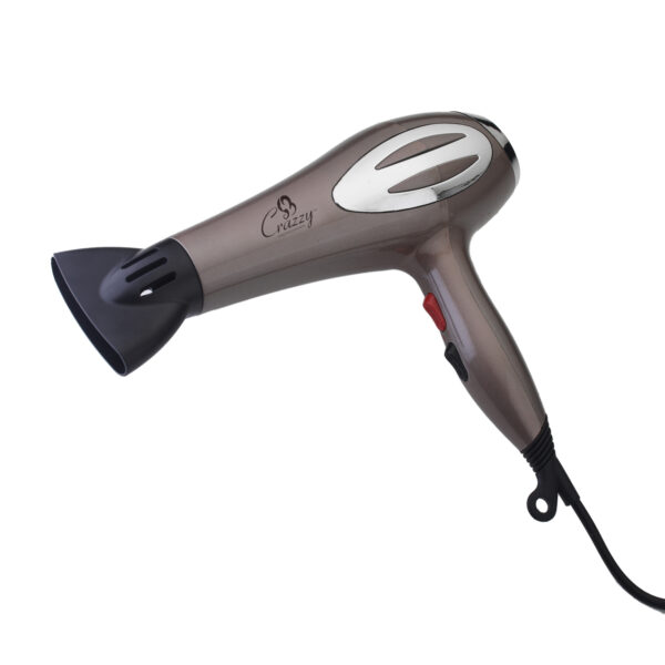 Crazzy Professional ultra Hair Dryer silver